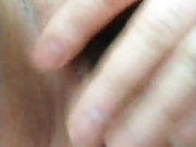 老婆的骚逼
